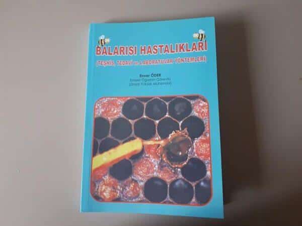 bal arısı hastalıkları bal arısı hastalıkları