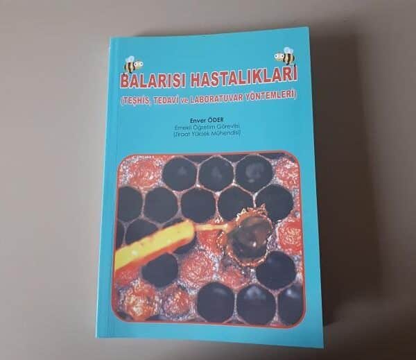 bal arısı hastalıkları