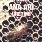 pratik ana arı üretimi pratik ana arı üretimi