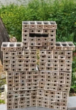 8 Çerçeveli Plastik Kutulu Paket Arı 8