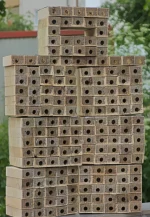 8 Çerçeveli Plastik Kutulu Paket Arı 9