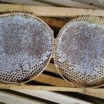 Karakovan Balı 1 Kg