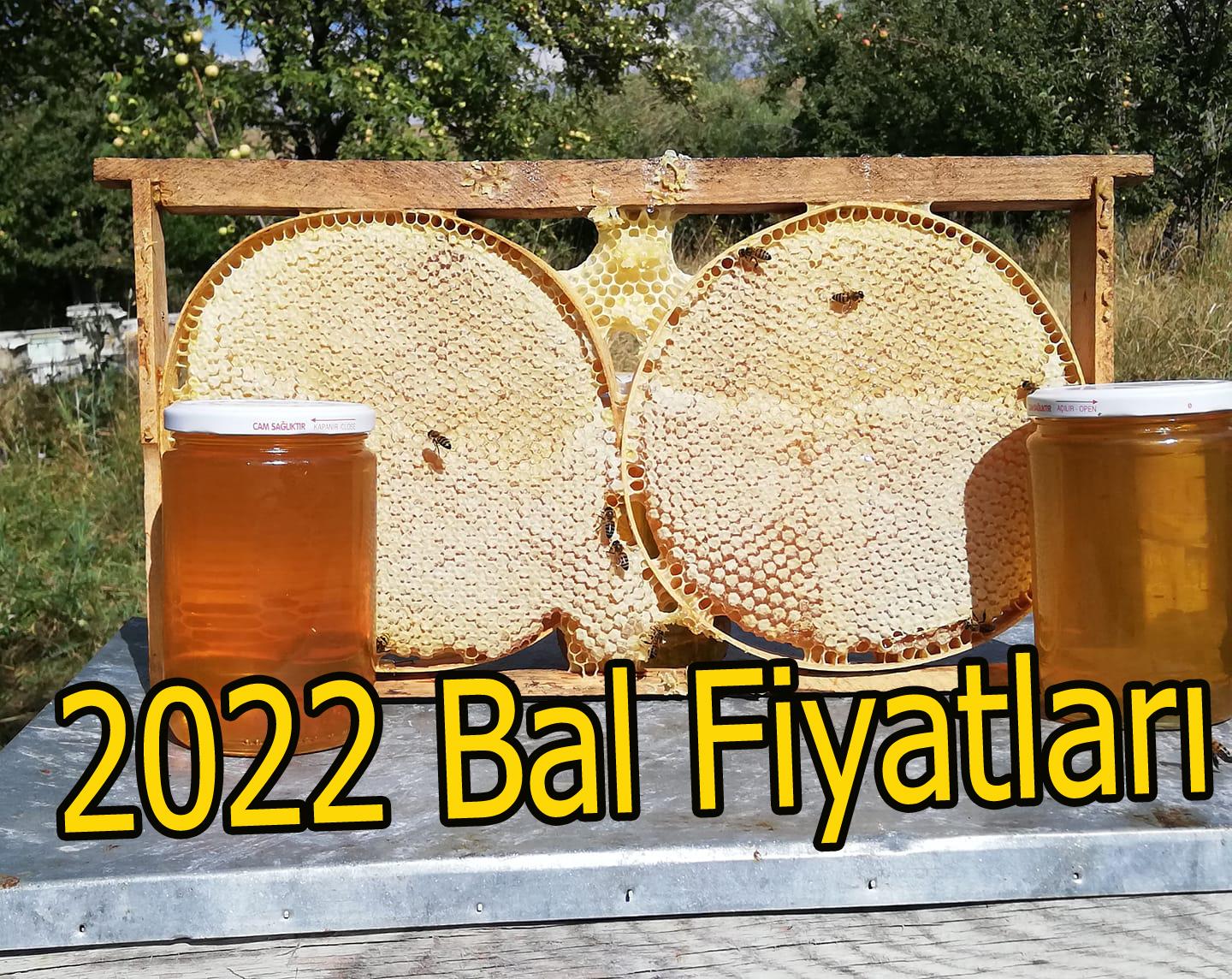 2022 bal fiyatlari