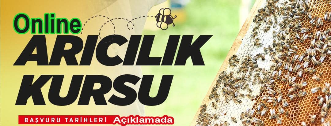 online aricilik kursu 1