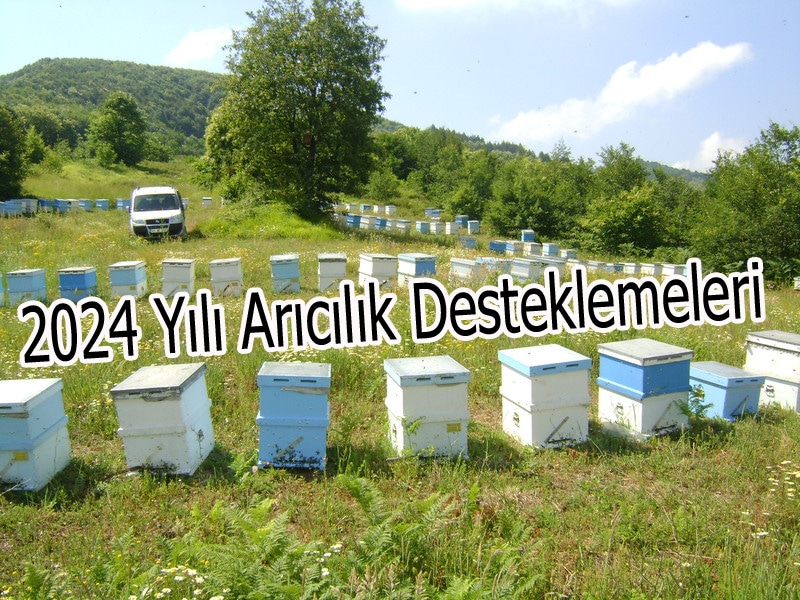 2024 yili aricilik desteklemeleri