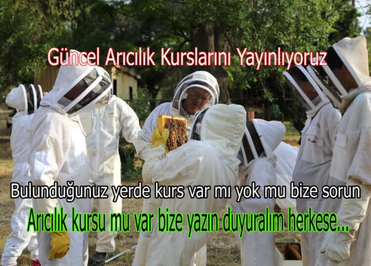 guncel-aricilik-kurslari