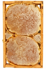 Karakovan Balı 1 Kg 2