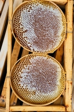 Karakovan Balı 1 Kg 5