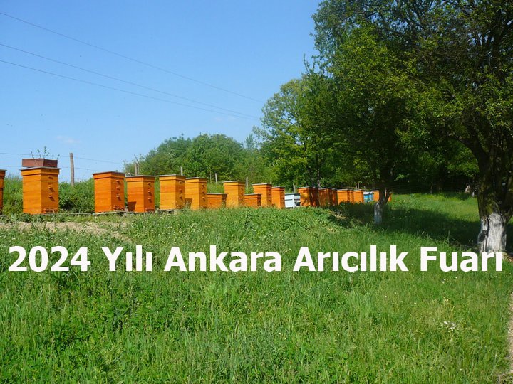 2024 yili ankara aricilik fuari