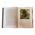 Modern Arıcılık Teknikleri Kitabı (Muhsin Doğaroğlu) 3