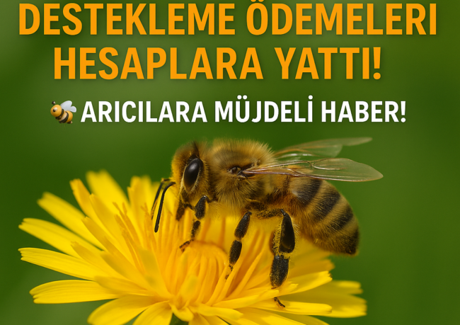2025 Yılı Arıcılık Destekleri Yatırıldı