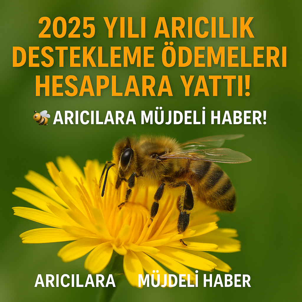 2025 Yılı Arıcılık Destekleri Yatırıldı - Arıcılık Malzemeleri 2025 Yılı Arıcılık Destekleri Yatırıldı