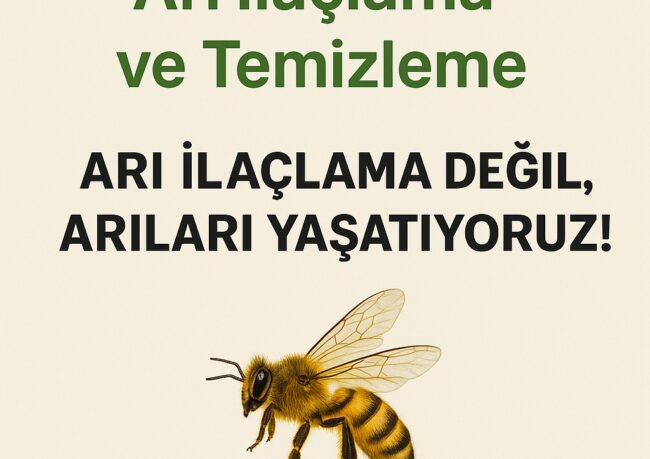 arı ilaçlama ve temizleme