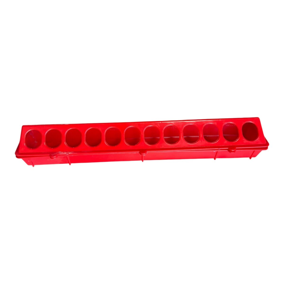 Bıldırcın Yemliği 50 cm 1