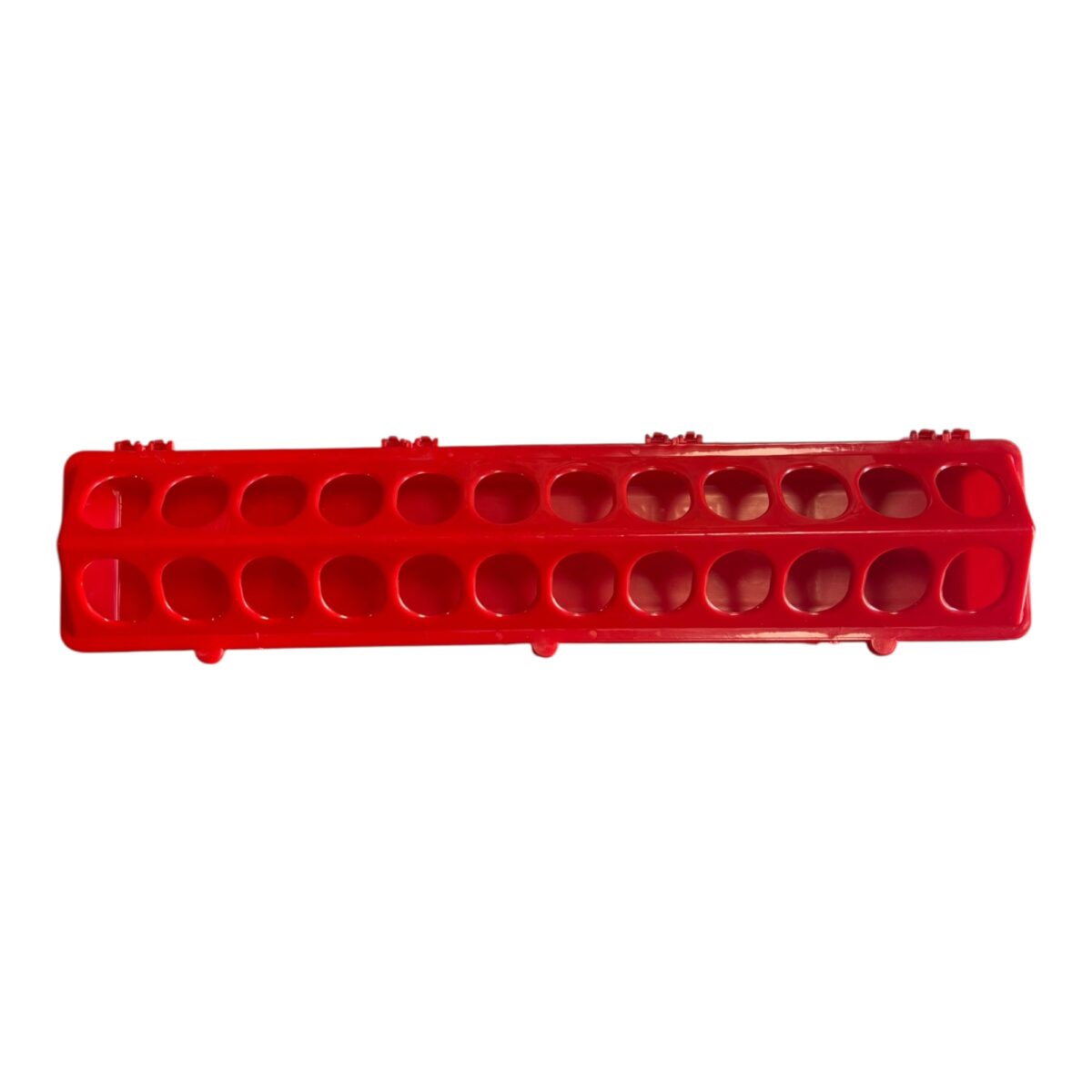 Bıldırcın Yemliği 50 cm 2