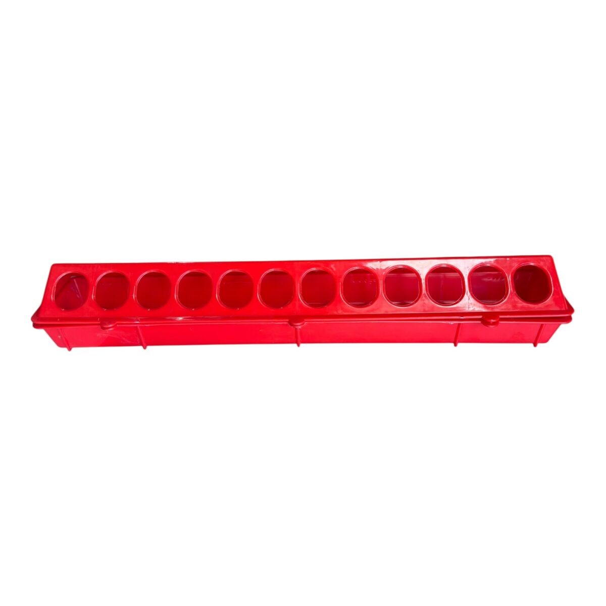 Bıldırcın Yemliği 50 cm 5
