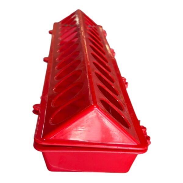 Bıldırcın Yemliği 50 cm 6