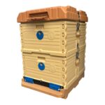 Ergo Kovan 2 Katlı (LN-24 TR) Çerçevesiz 1