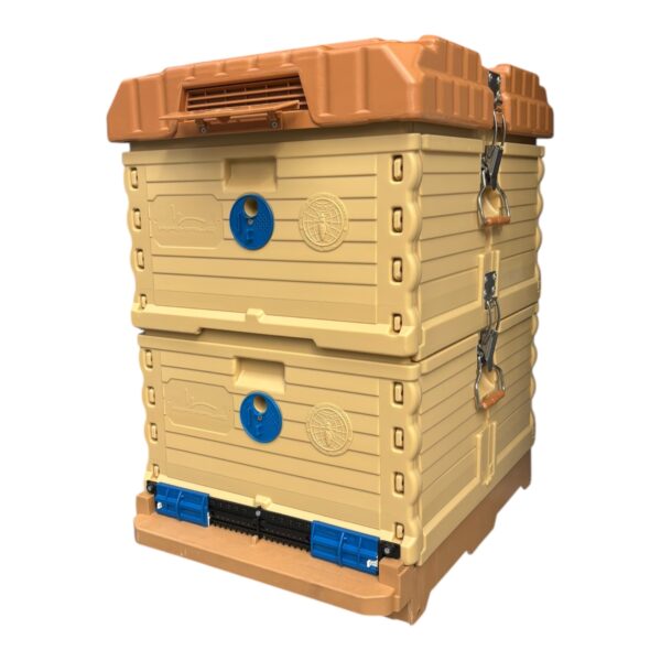 Ergo Kovan 2 Katlı (LN-24 TR) Çerçevesiz 1