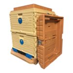 Ergo Kovan 2 Katlı (LN-24 TR) Çerçevesiz 7