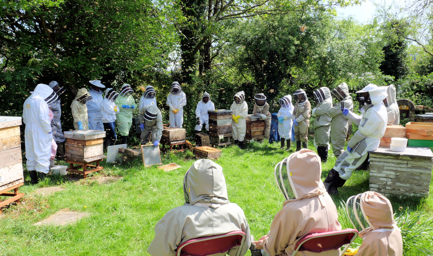 2025 Arıcılık Destekleme Başvuruları Başladı 3