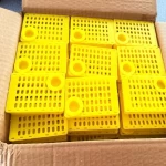 Tropi Akarı (Tropilaelaps) Kafesi 1