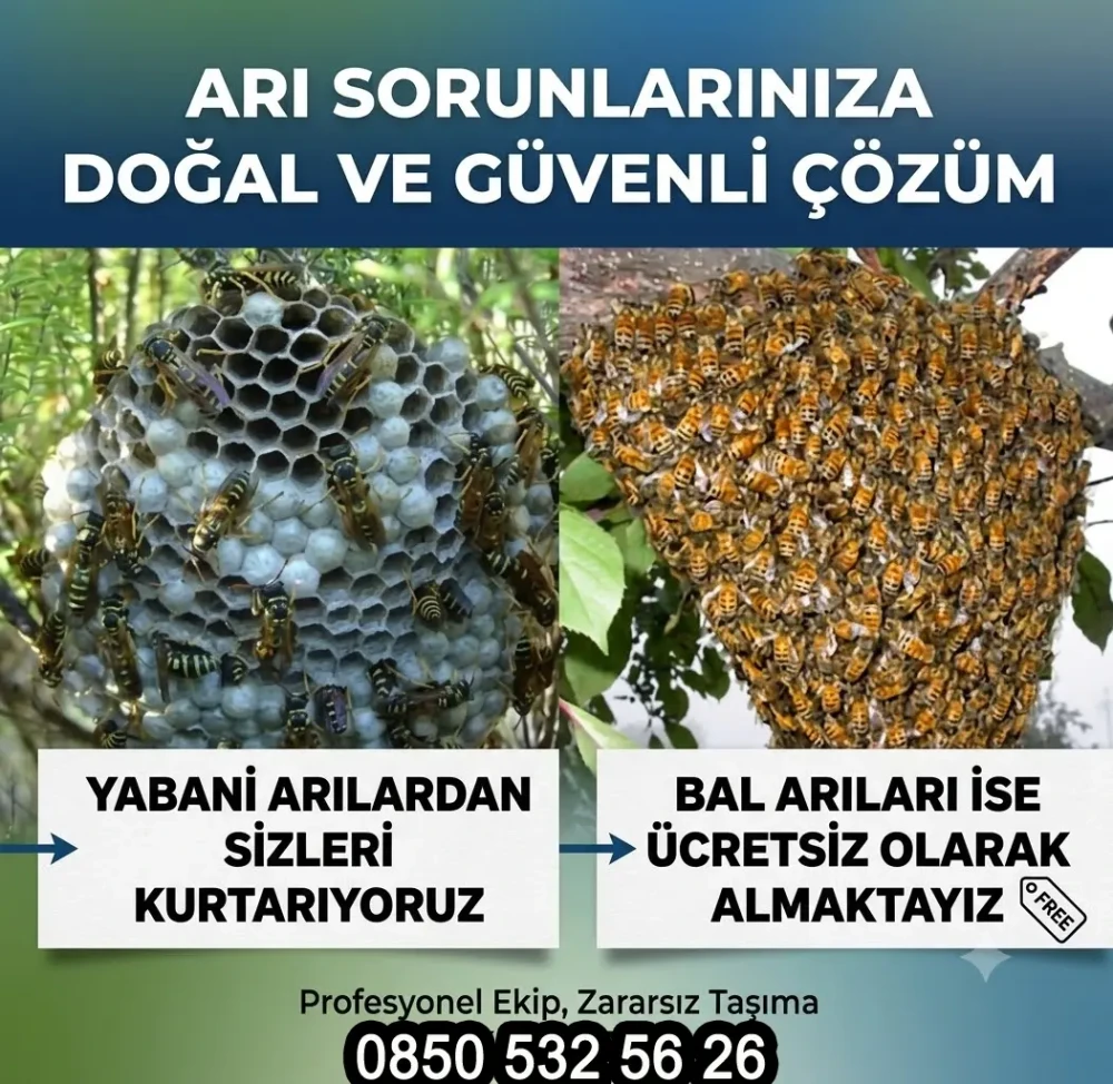 Evden Yabani Arı Alma ve Arı Kolonisi Kurtarma - Arıcılık Malzemeleri Evden Yabani Arı Alma ve Arı Kolonisi Kurtarma 2
