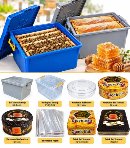 Bal Kutuları ve Saklama Kapları